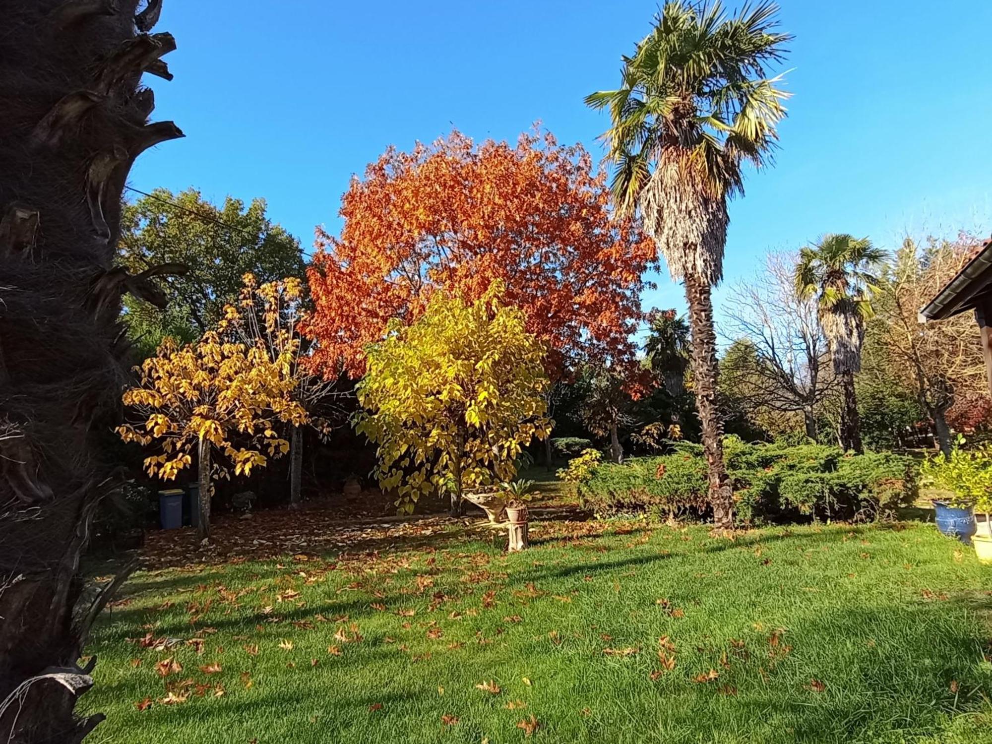 La Canette De Phil - Chambre D'Hotes, Independante - Vue Sur Piscine Samatan Dış mekan fotoğraf